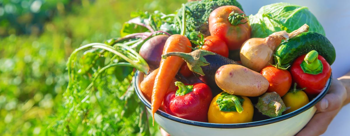 Saisonkalender: Obst und Gemüse nach Jahreszeit