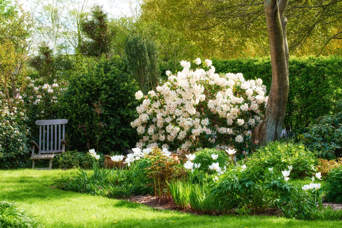 Ruhe im eigenen Garten — Ihr Rückzugsort in Mettmann