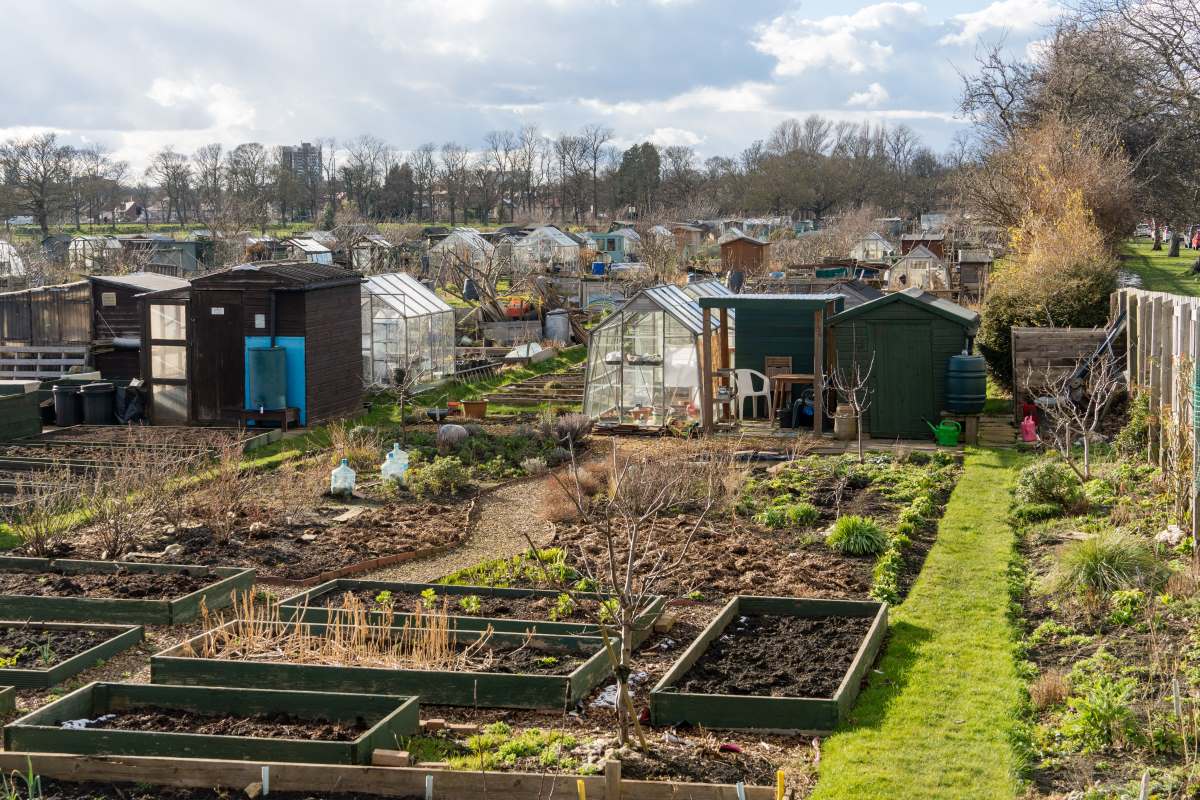 Schrebergarten in Mettmann: Pacht, Regeln und das Wichtigste
